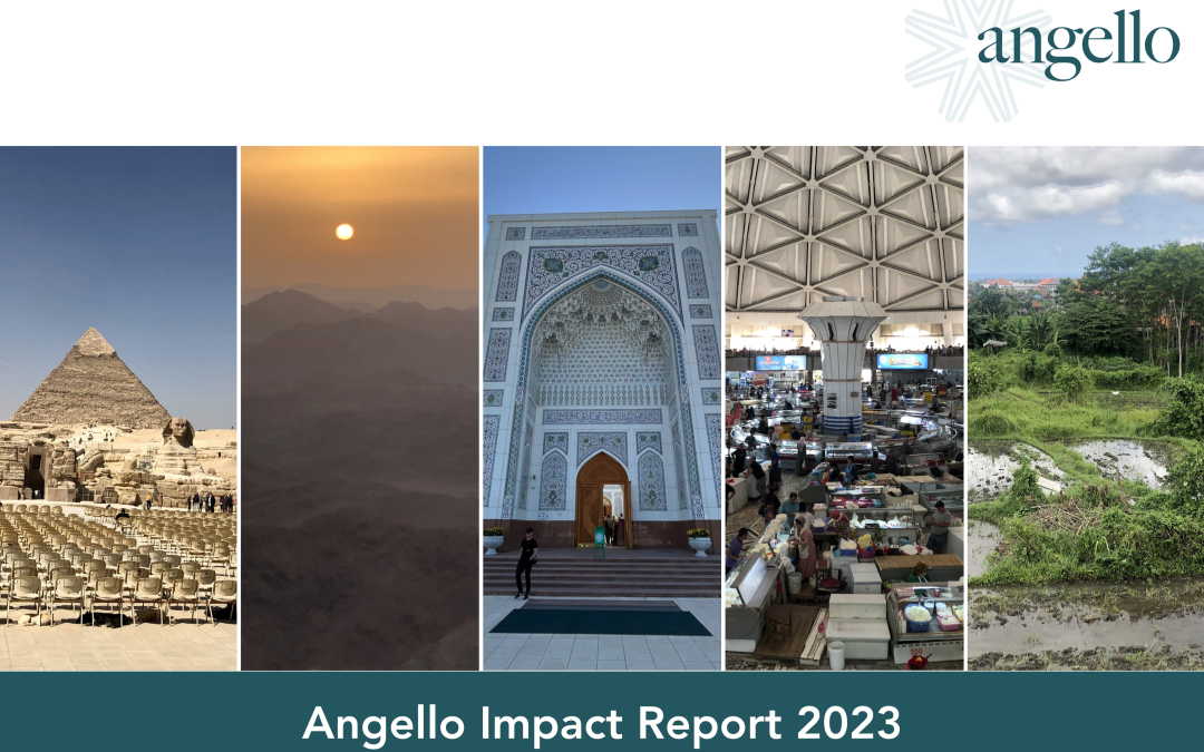 angello Impact Report