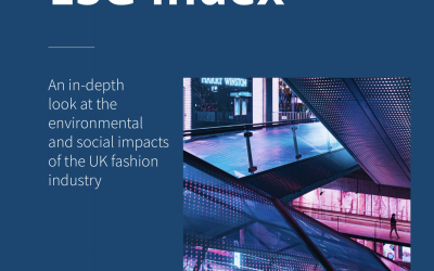 UK Fashion ESG Index