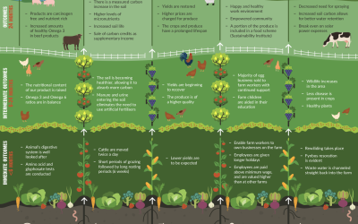 Farmer Angus Theory of Change