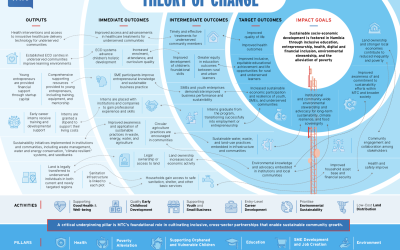 Mobile Telecommunications Company Theory of Change